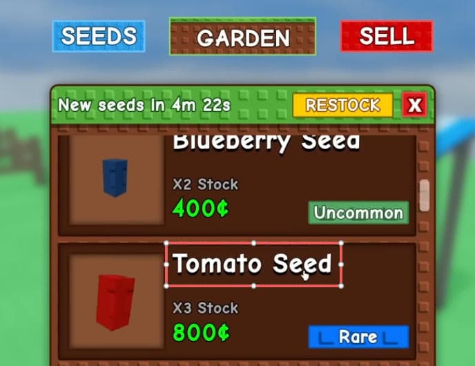 Méthode tomate - plants de tomates denses pour farming rapide de points